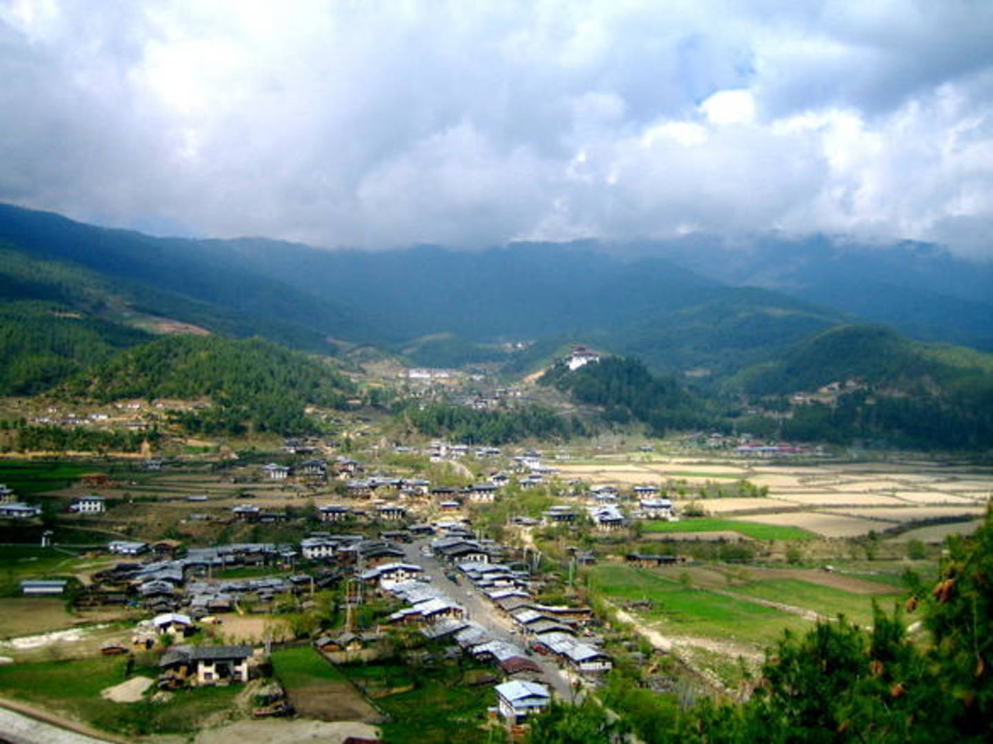 Jakar