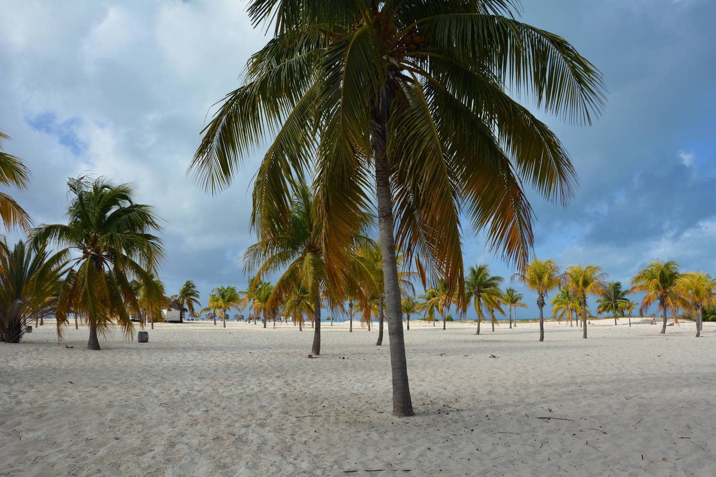 Cayo Largo Del Sur