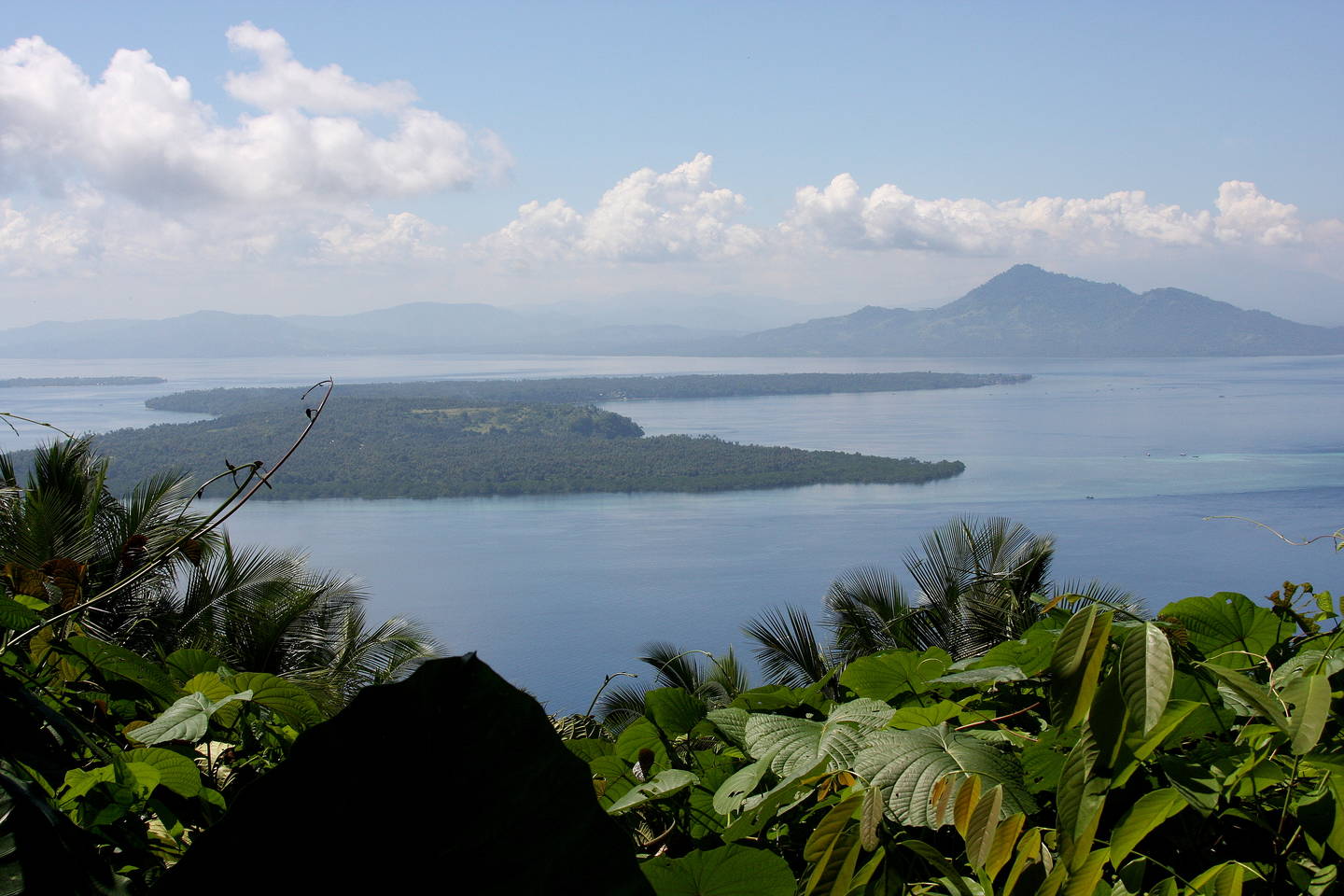 Manado
