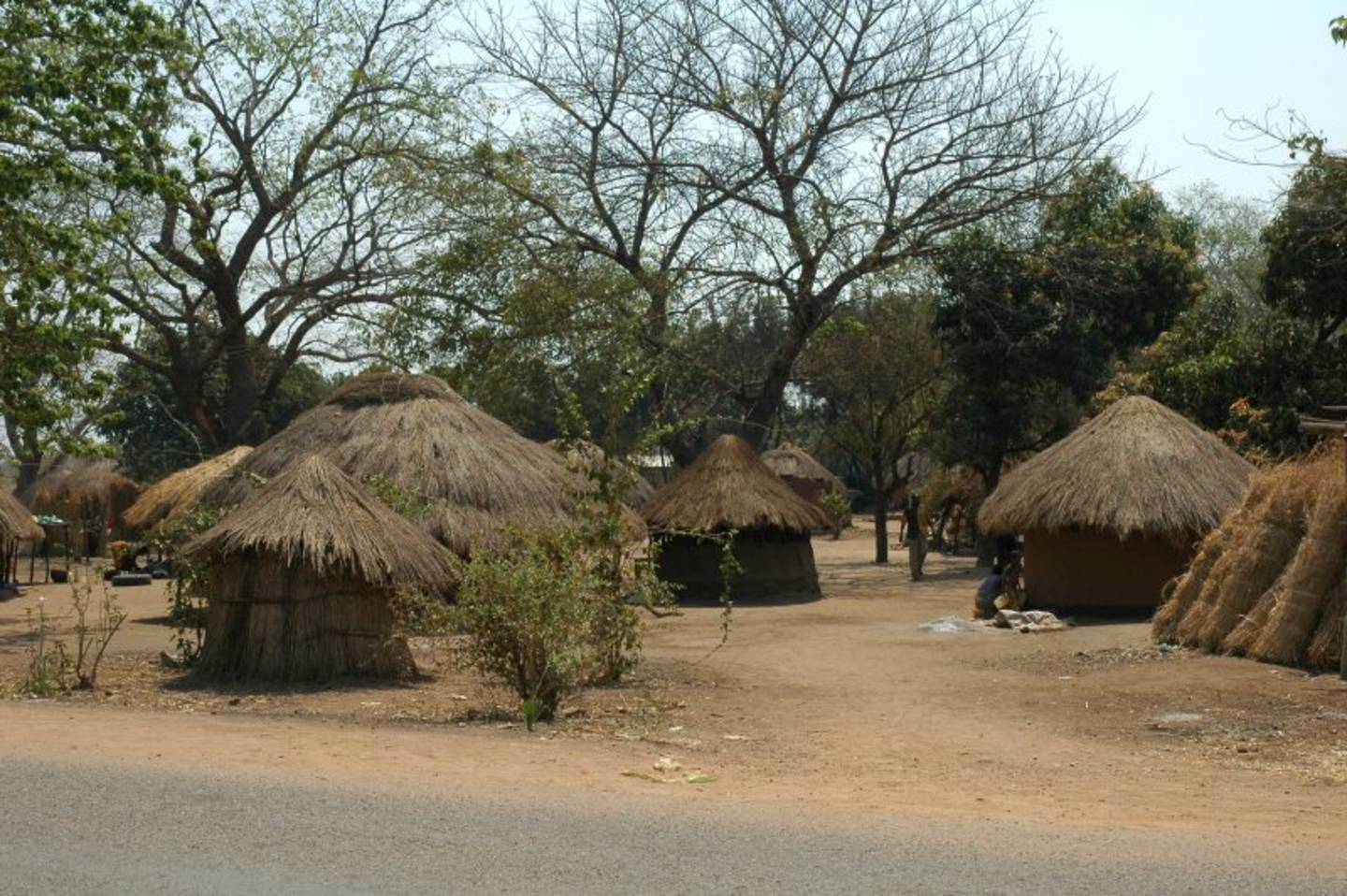Mfuwe
