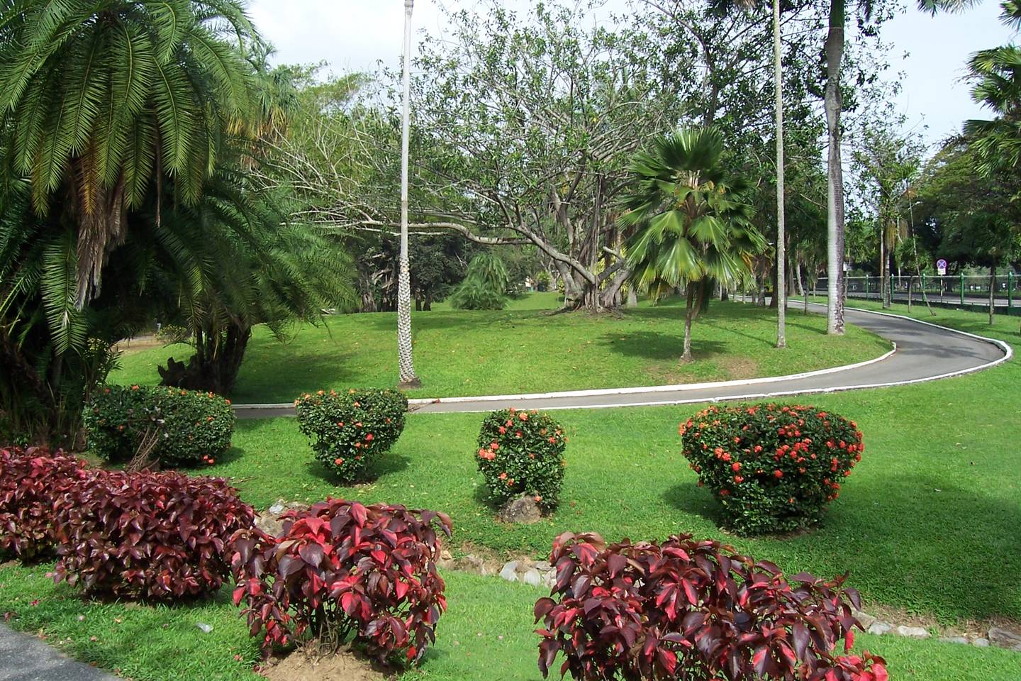 Portofspeina
