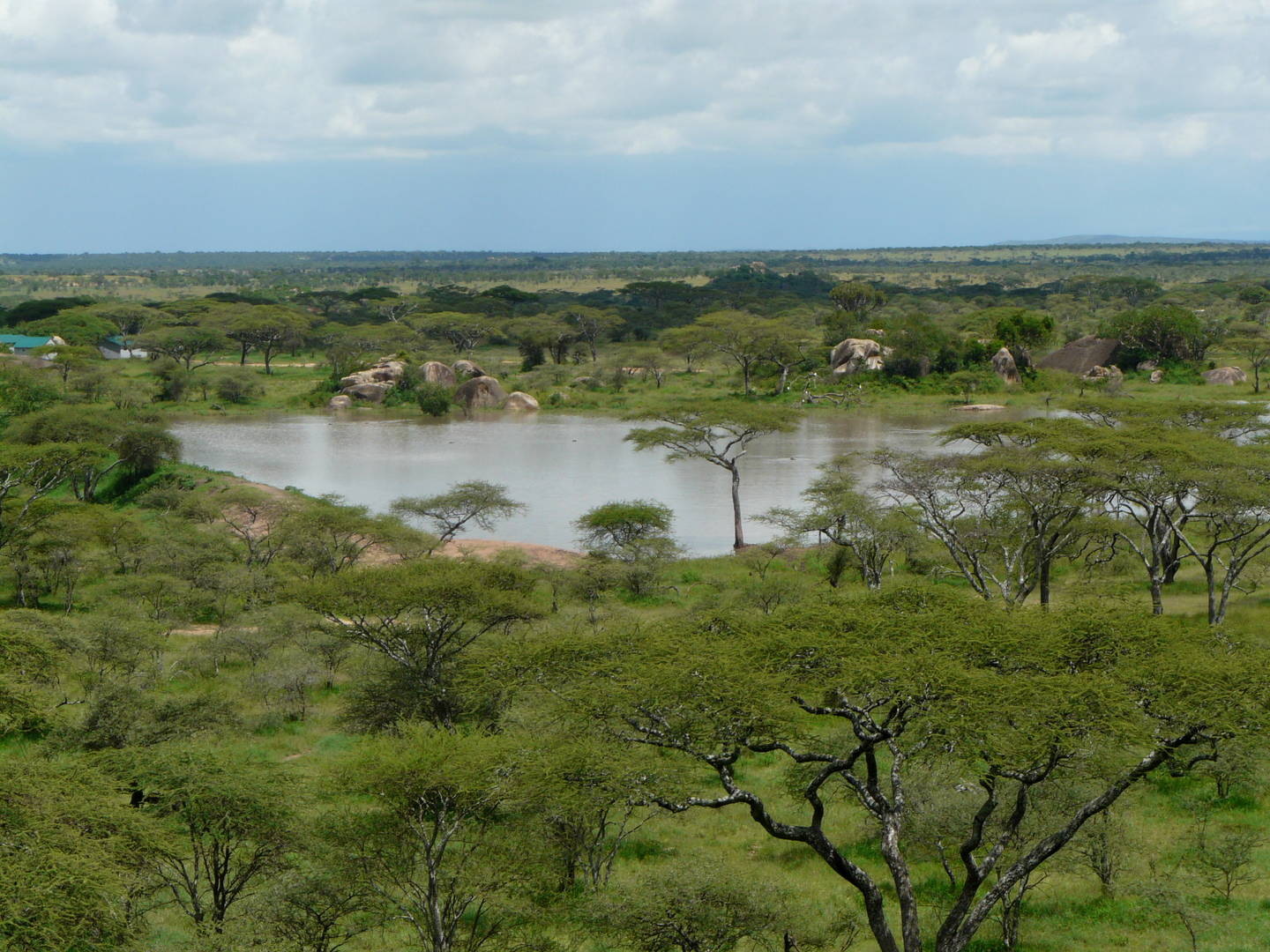 Seronera