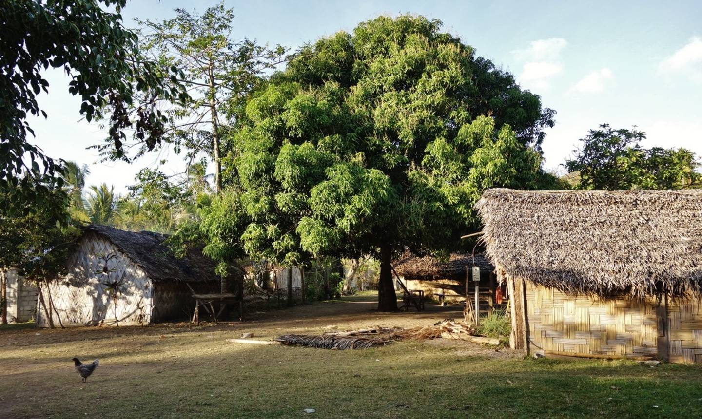 Tanna
