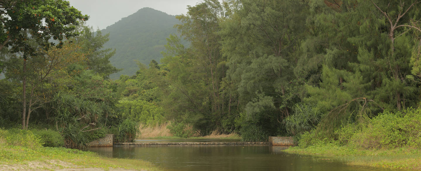 Côn Sơn Island